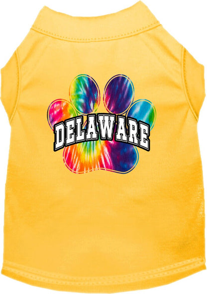 Pet Dog & Cat Screen Printed Shirt for Medium to Large Pets (Sizes 2XL-6XL), "Delaware Bright Tie Dye"
