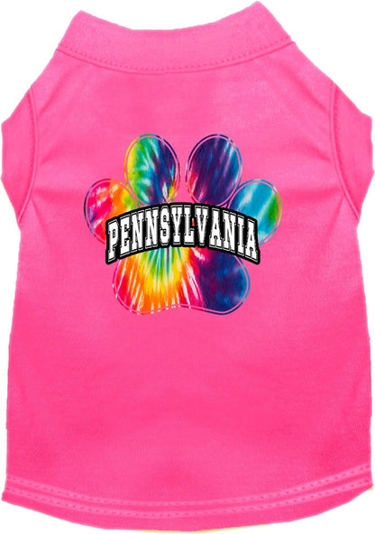 Pet Dog & Cat Screen Printed Shirt for Medium to Large Pets (Sizes 2XL-6XL), "Pennsylvania Bright Tie Dye"