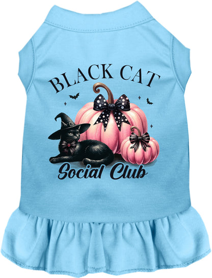 Blue Black Cat Social Club pet dress with pumpkins