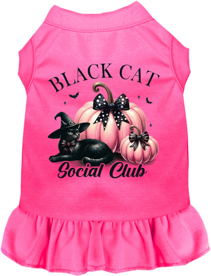 Hot pink Black Cat Social Club pet dress with pumpkins