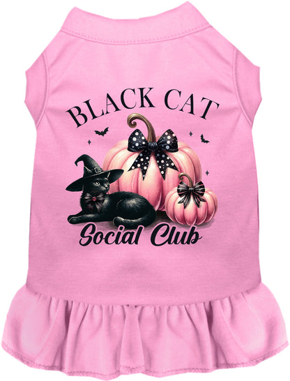 Pink Black Cat Social Club pet dress with pumpkins