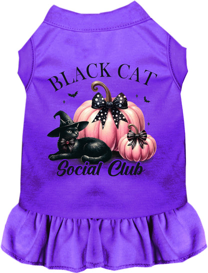 Purple Black Cat Social Club pet dress with pumpkins