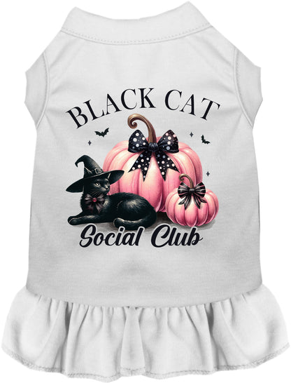 White Black Cat Social Club pet dress with pumpkins