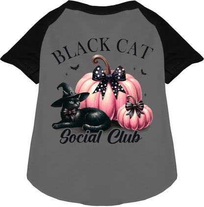 Black sleeve Black Cat Social Club pet raglan shirt