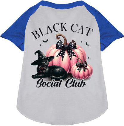 Blue sleeve Black Cat Social Club pet raglan shirt