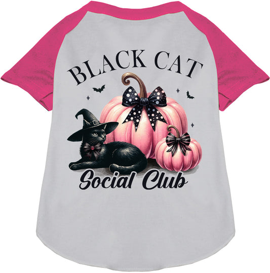 Pink sleeve Black Cat Social Club pet raglan shirt