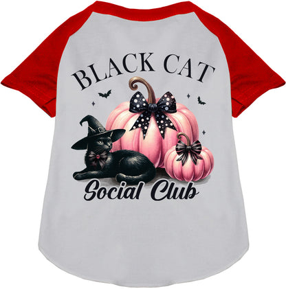 Red sleeve Black Cat Social Club pet raglan shirt