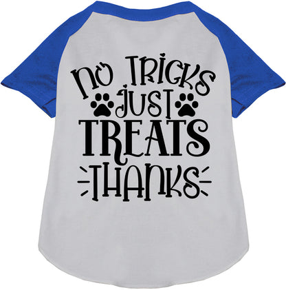 Blue No Tricks Just Treats Pet Raglan Shirt