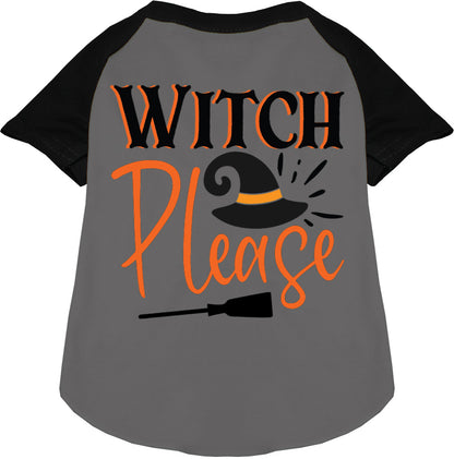 Gray Witch Please pet raglan shirt with black sleeves