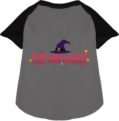 Black raglan pet shirt with 'Something Wicked' design