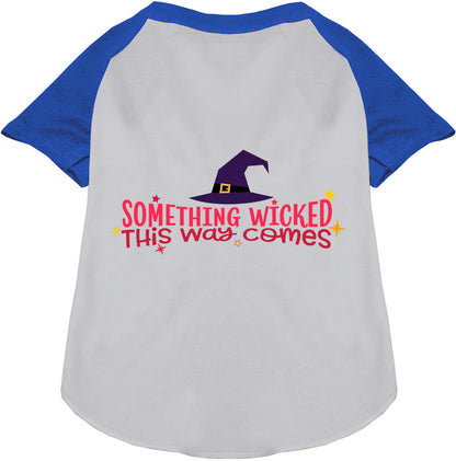 Blue raglan pet shirt with 'Something Wicked' design