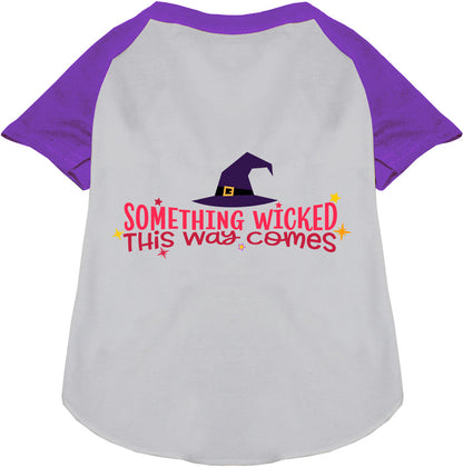 Purple raglan pet shirt with 'Something Wicked' design