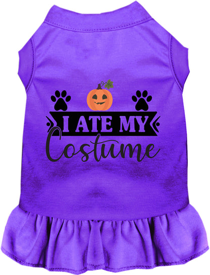 Purple 'I Ate My Costume' pet dress with pumpkin design