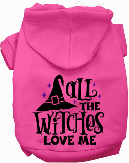 All the Witches Love Me! Pet Hoodie