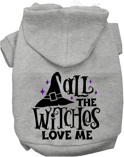 All the Witches Love Me! Pet Hoodie