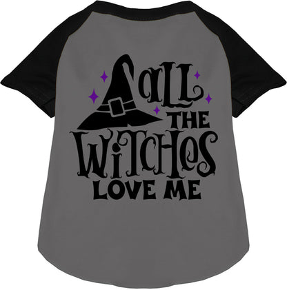 All the Witches Love Me! Pet Raglan Shirt