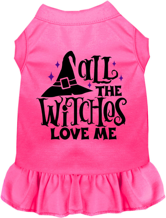 All the Witches Love Me! Pet Dress