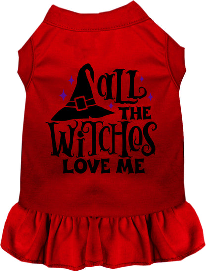 All the Witches Love Me! Pet Dress