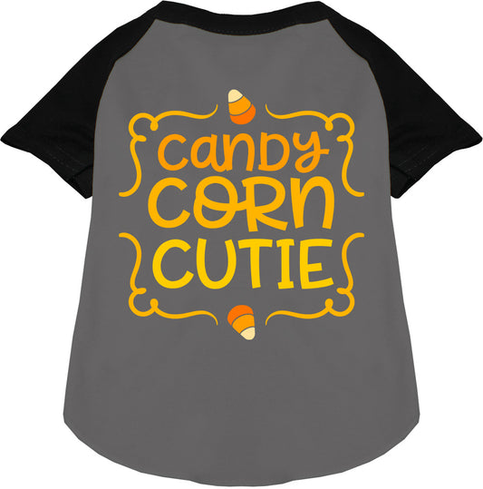 Candy Corn Cutie Pet Raglan Shirt