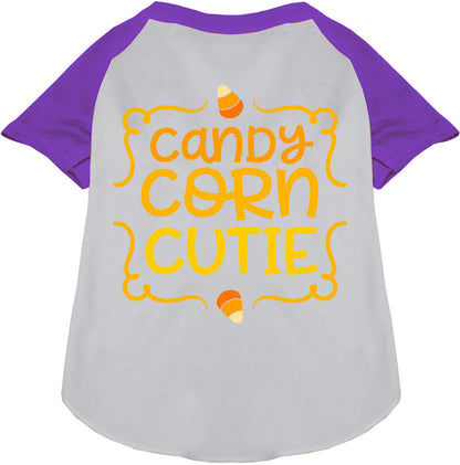 White Candy Corn Cutie pet raglan shirt with purple sleeves