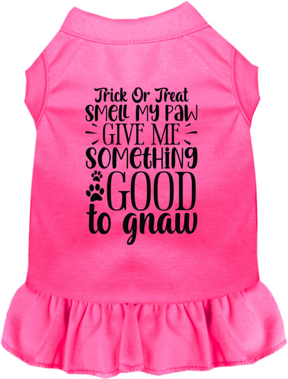 Good to Gnaw Pet Dress