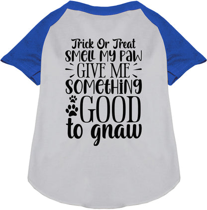 Good to Gnaw Pet Raglan Shirt