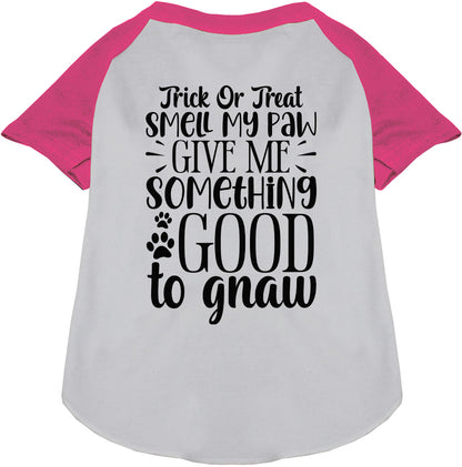 Good to Gnaw Pet Raglan Shirt