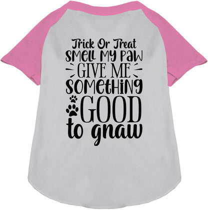 Good to Gnaw Pet Raglan Shirt