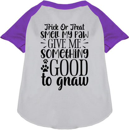 Good to Gnaw Pet Raglan Shirt