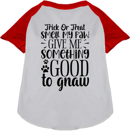 Good to Gnaw Pet Raglan Shirt