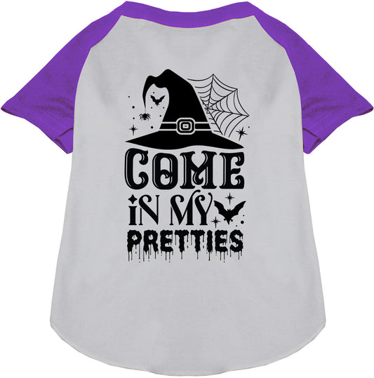 Come In My Pretties Pet Raglan Shirt