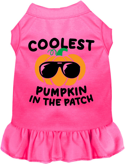 Coolest Pumpkin Pet Dress