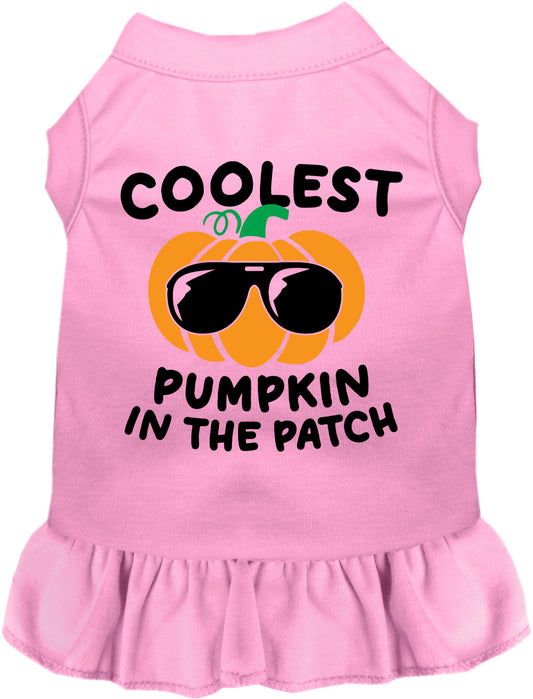 Coolest Pumpkin Pet Dress