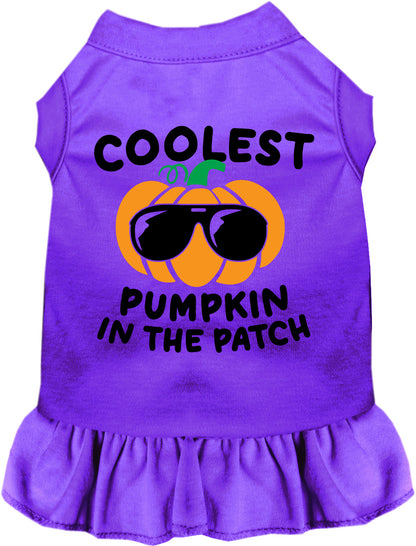 Coolest Pumpkin Pet Dress