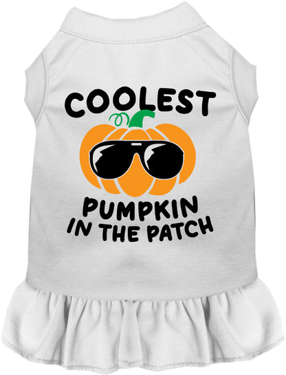 Coolest Pumpkin Pet Dress