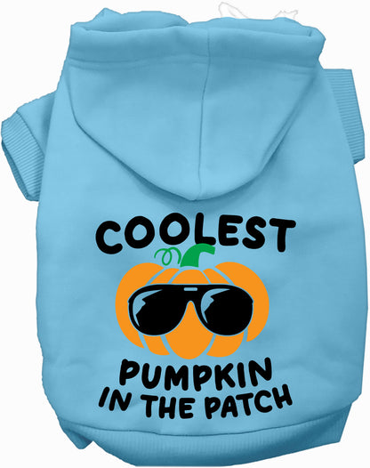 Coolest Pumpkin Pet Hoodie