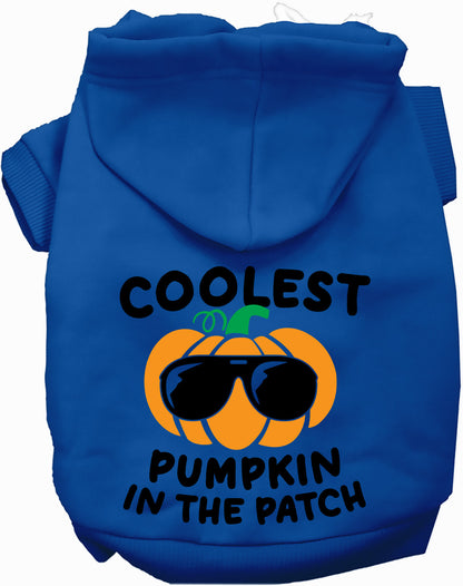 Coolest Pumpkin Pet Hoodie