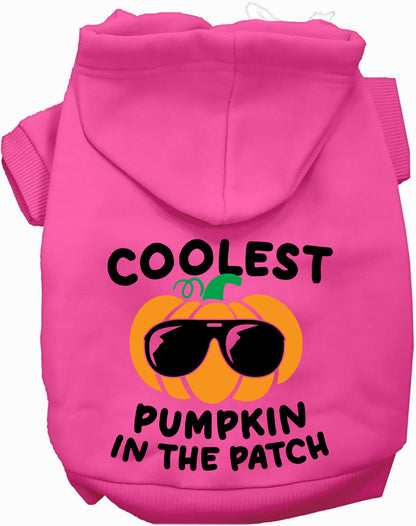 Coolest Pumpkin Pet Hoodie