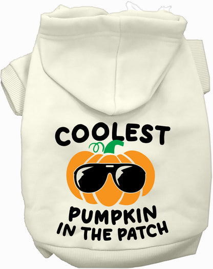 Coolest Pumpkin Pet Hoodie