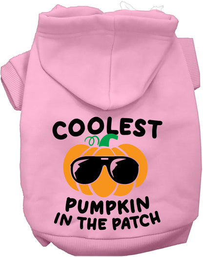 Coolest Pumpkin Pet Hoodie