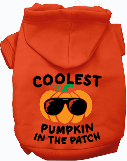 Coolest Pumpkin Pet Hoodie