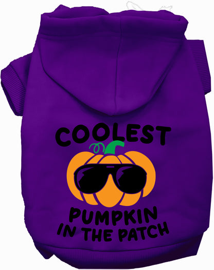 Coolest Pumpkin Pet Hoodie