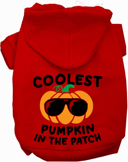 Coolest Pumpkin Pet Hoodie