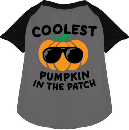 Coolest Pumpkin Pet Raglan Shirt