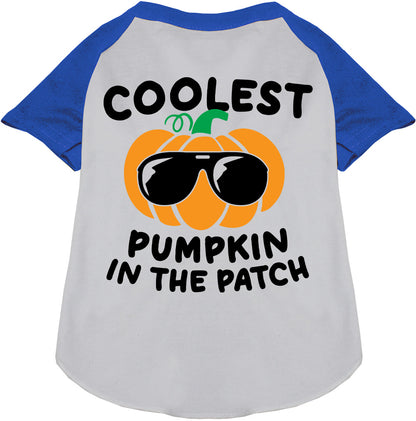 Coolest Pumpkin Pet Raglan Shirt