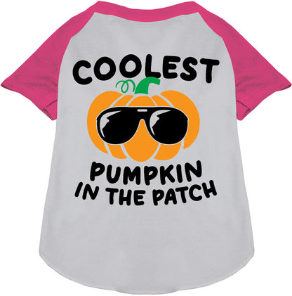 Coolest Pumpkin Pet Raglan Shirt