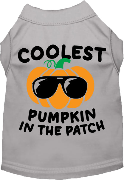 Coolest Pumpkin Pet Shirt