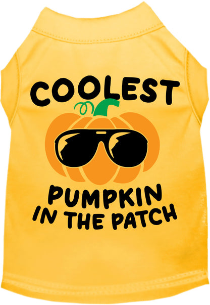 Coolest Pumpkin Pet Shirt