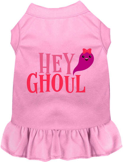 Pink Hey Ghoul pet dress with matching skirt