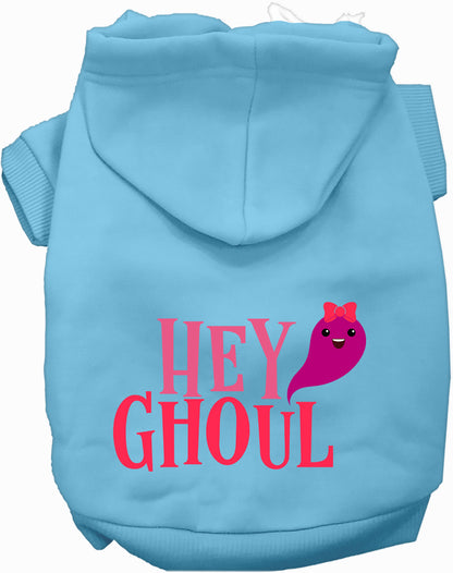 Light blue Hey Ghoul pet hoodie with cute ghost design